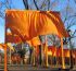 केशरिया द्वारों में सराबोर न्यूयॉर्क का सेंट्रल पार्क